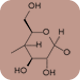 Digestive Enzymes